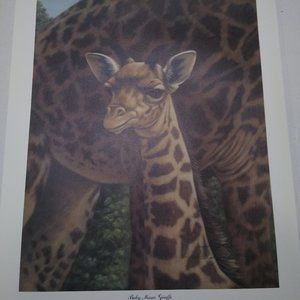Baby Masai Giraffe 151/500 by Harold Rigsby Signed